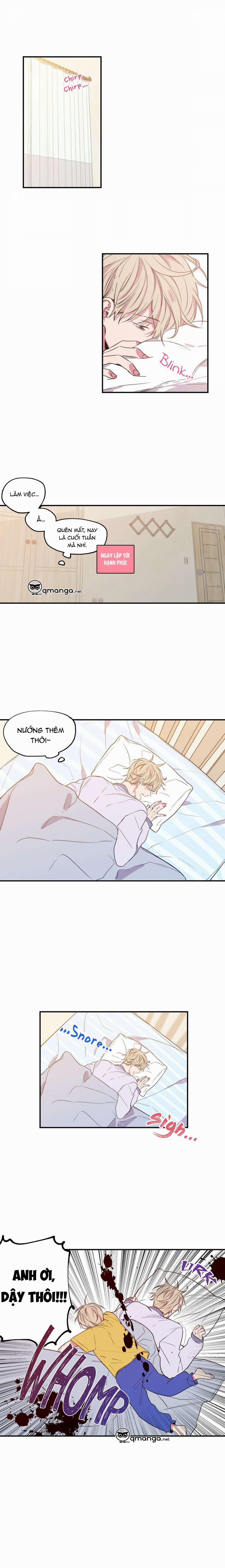 Không Chốn Yêu Đương 5 trang 1