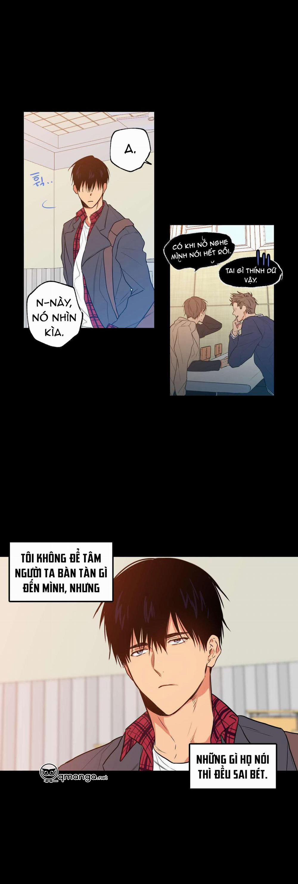 Không Chốn Yêu Đương 7 trang 8