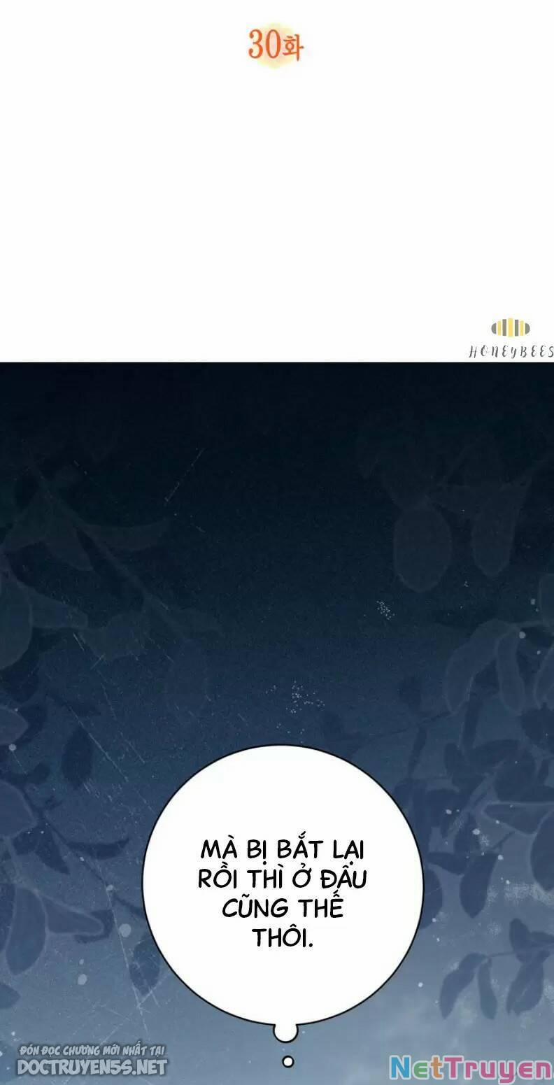 Không Có Nơi Nào Dành Cho Công Chúa Giả Mạo 30 trang 8