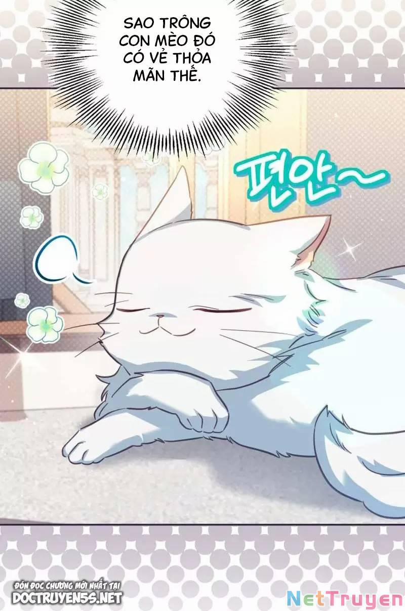 Không Có Nơi Nào Dành Cho Công Chúa Giả Mạo 33 trang 51