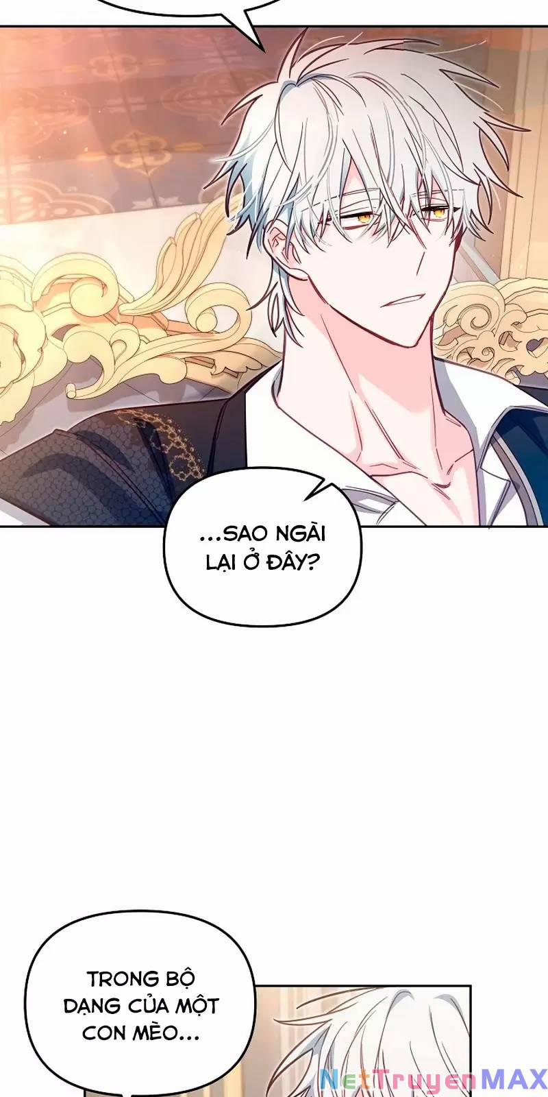 Không Có Nơi Nào Dành Cho Công Chúa Giả Mạo 38 trang 34