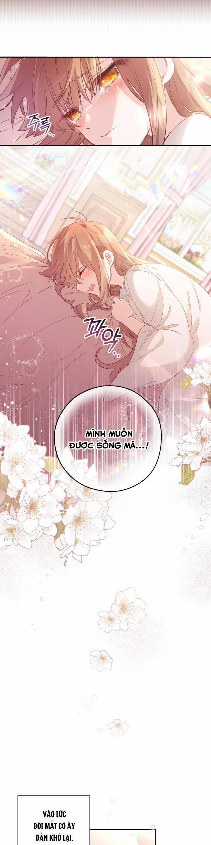 Không Có Nơi Nào Dành Cho Công Chúa Giả Mạo 4 trang 4