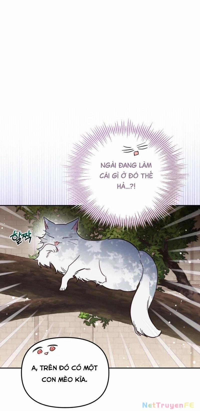 Không Có Nơi Nào Dành Cho Công Chúa Giả Mạo 58 trang 45