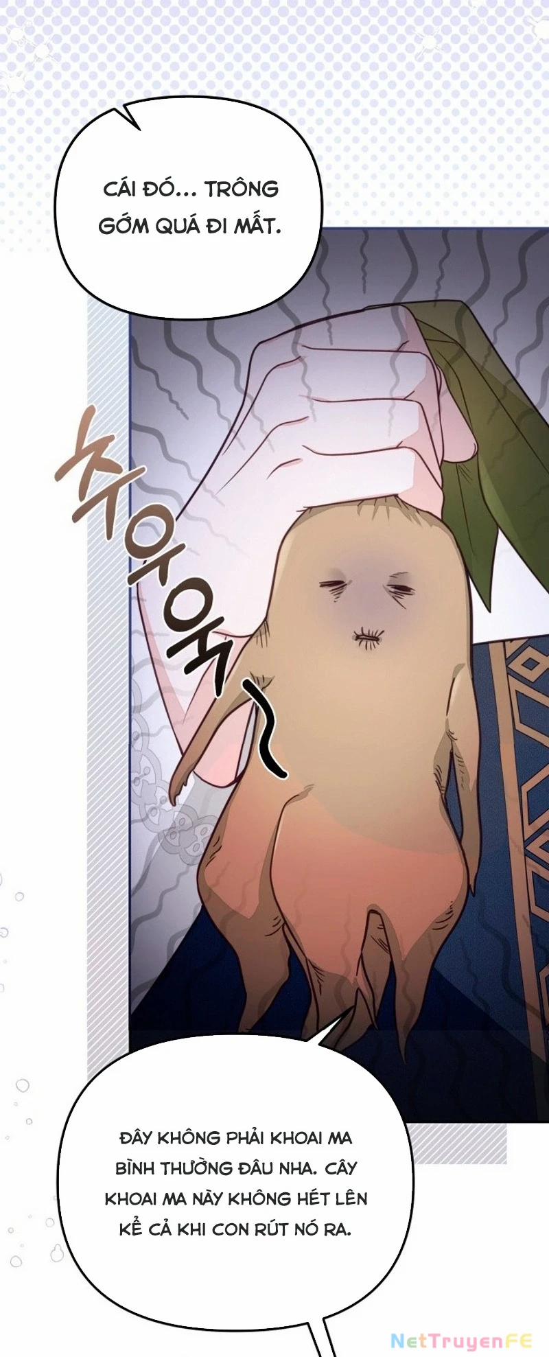 Không Có Nơi Nào Dành Cho Công Chúa Giả Mạo 68 trang 19