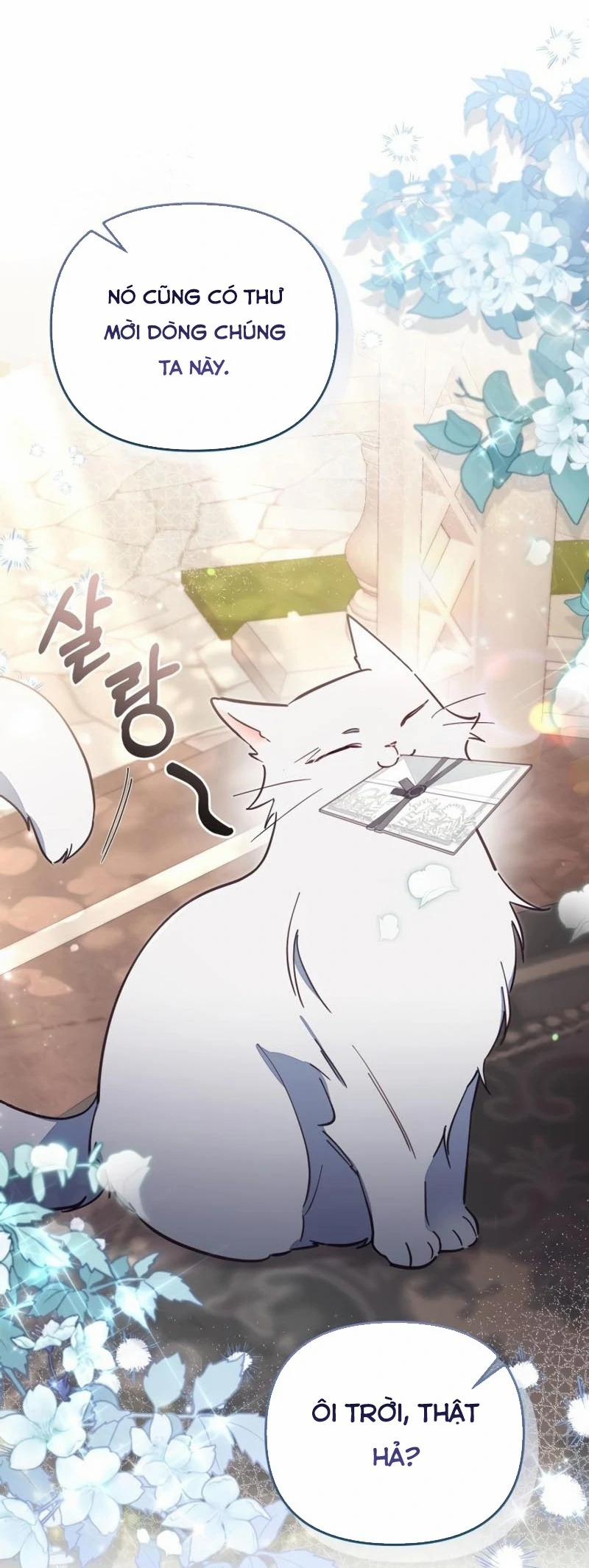 Không Có Nơi Nào Dành Cho Công Chúa Giả Mạo 69 trang 56