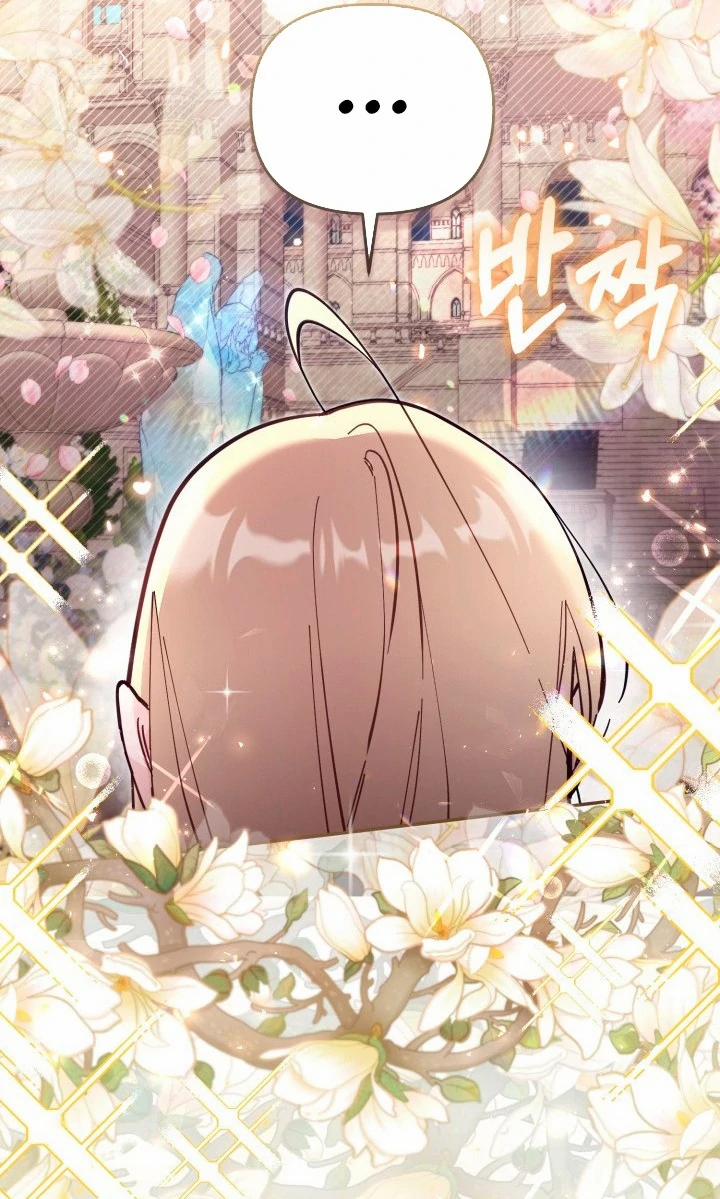 Không Có Nơi Nào Dành Cho Công Chúa Giả Mạo 70 trang 43