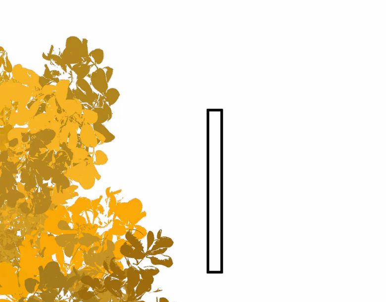 Không Có Tiền 7 trang 46