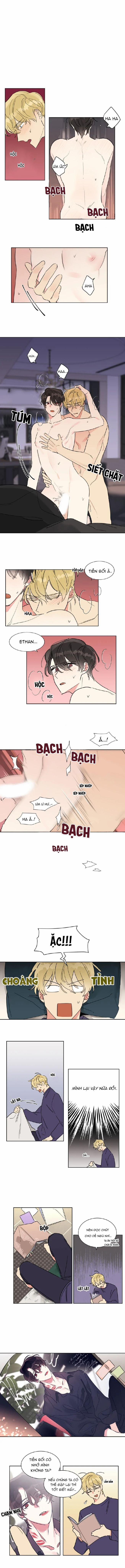 Không Còn Trong Sáng 3 trang 0