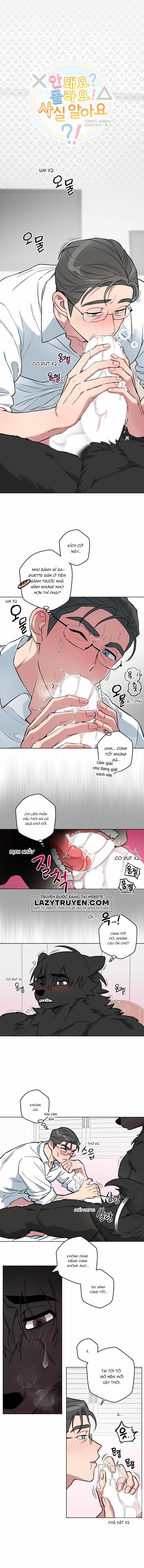 Không Được! Không Biết à? Thật Ra Là Biết Chứ?! 10 trang 0