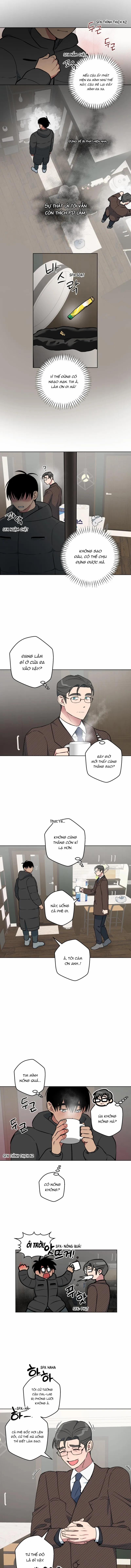 Không Được! Không Biết à? Thật Ra Là Biết Chứ?! 13 trang 5