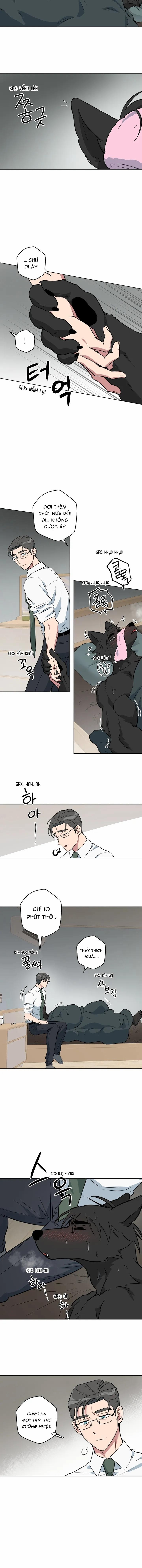 Không Được! Không Biết à? Thật Ra Là Biết Chứ?! 16 trang 8