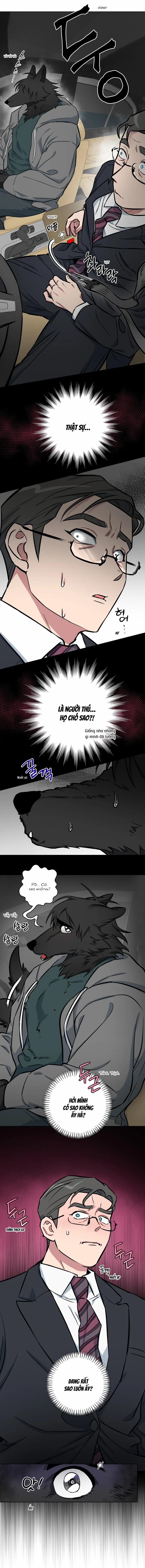 Không Được! Không Biết à? Thật Ra Là Biết Chứ?! 5 trang 8