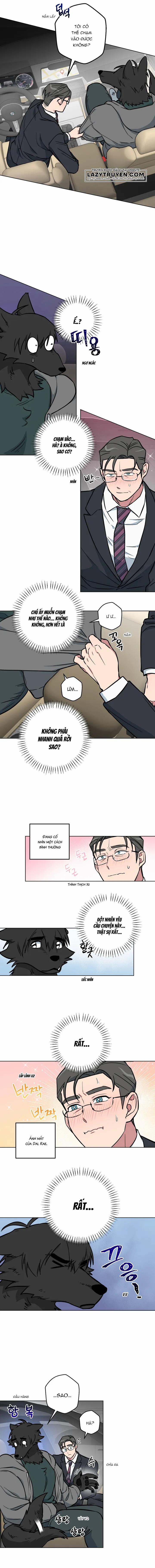 Không Được! Không Biết à? Thật Ra Là Biết Chứ?! 6 trang 0