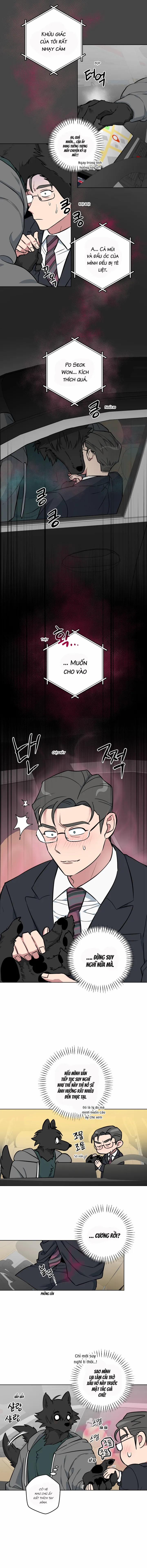 Không Được! Không Biết à? Thật Ra Là Biết Chứ?! 6 trang 3