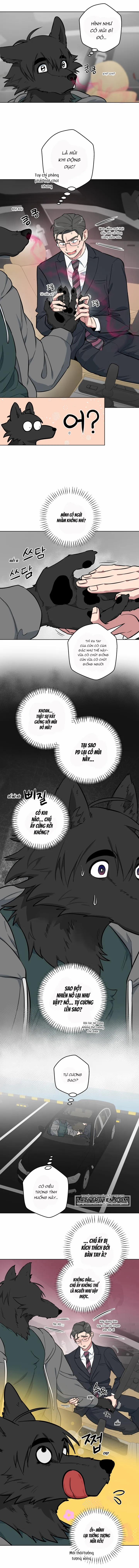 Không Được! Không Biết à? Thật Ra Là Biết Chứ?! 6 trang 4