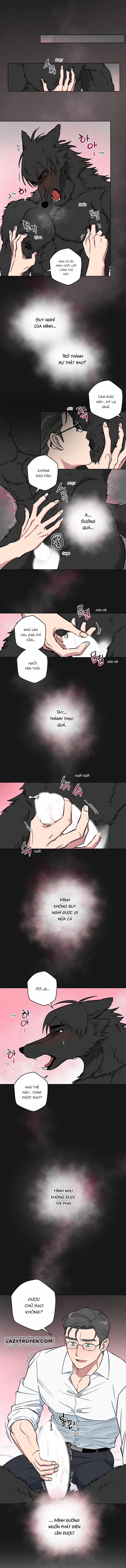 Không Được! Không Biết à? Thật Ra Là Biết Chứ?! 6 trang 8