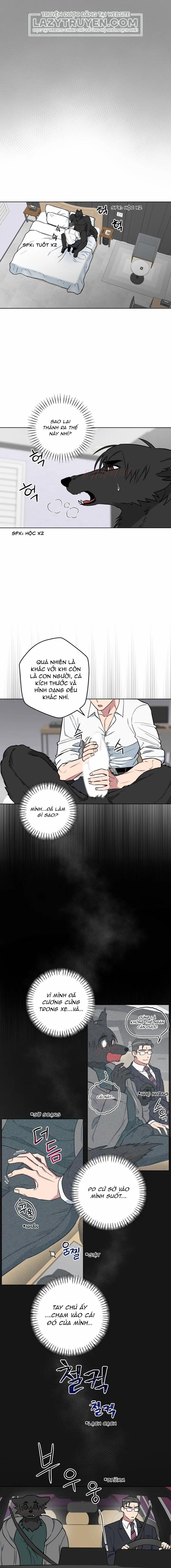 Không Được! Không Biết à? Thật Ra Là Biết Chứ?! 7 trang 0