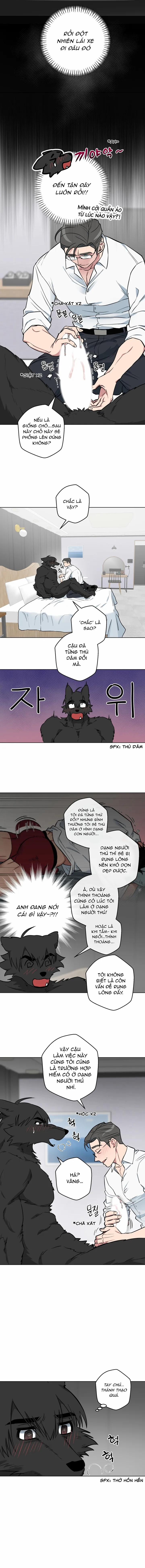 Không Được! Không Biết à? Thật Ra Là Biết Chứ?! 7 trang 1