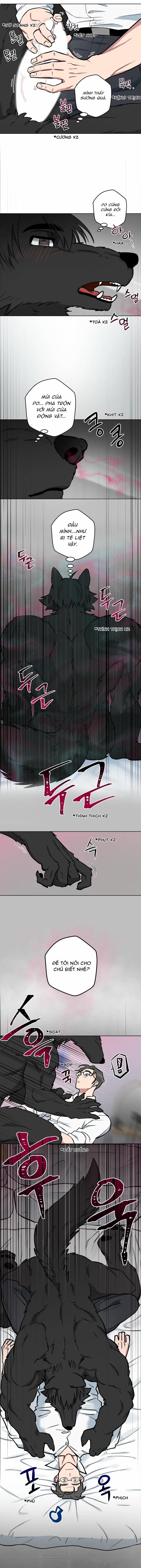 Không Được! Không Biết à? Thật Ra Là Biết Chứ?! 7 trang 2