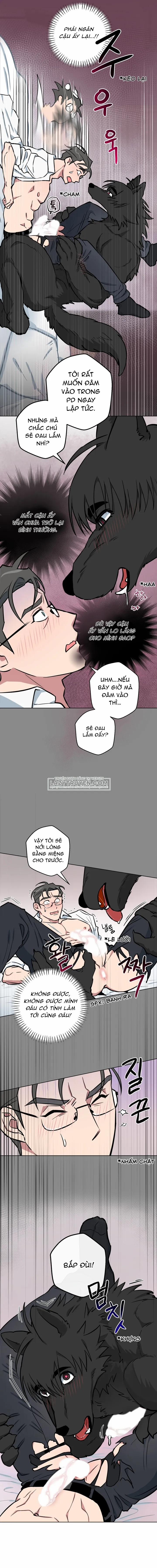 Không Được! Không Biết à? Thật Ra Là Biết Chứ?! 7 trang 7