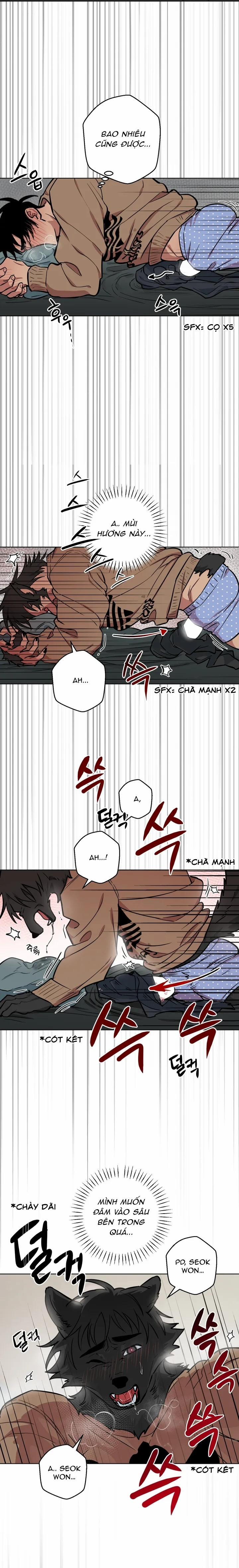 Không Được! Không Biết à? Thật Ra Là Biết Chứ?! 8 trang 9