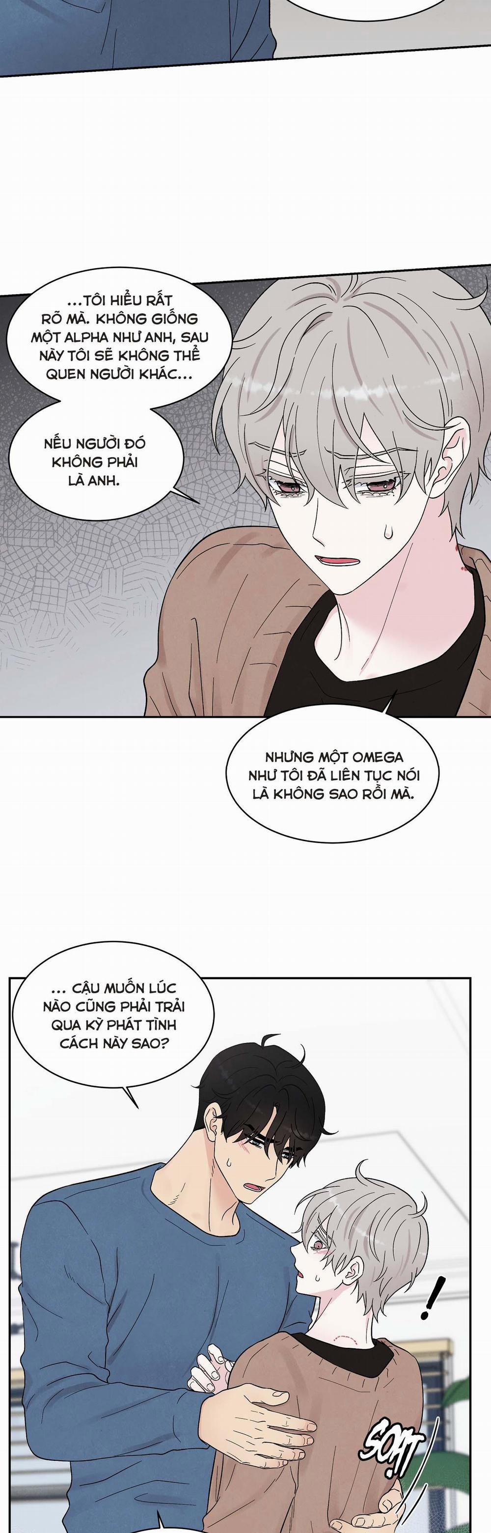 KHÔNG LÀ EM THÌ AI? 10 trang 13