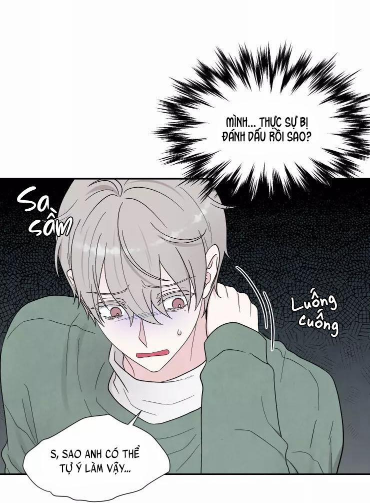 KHÔNG LÀ EM THÌ AI? 4 trang 20