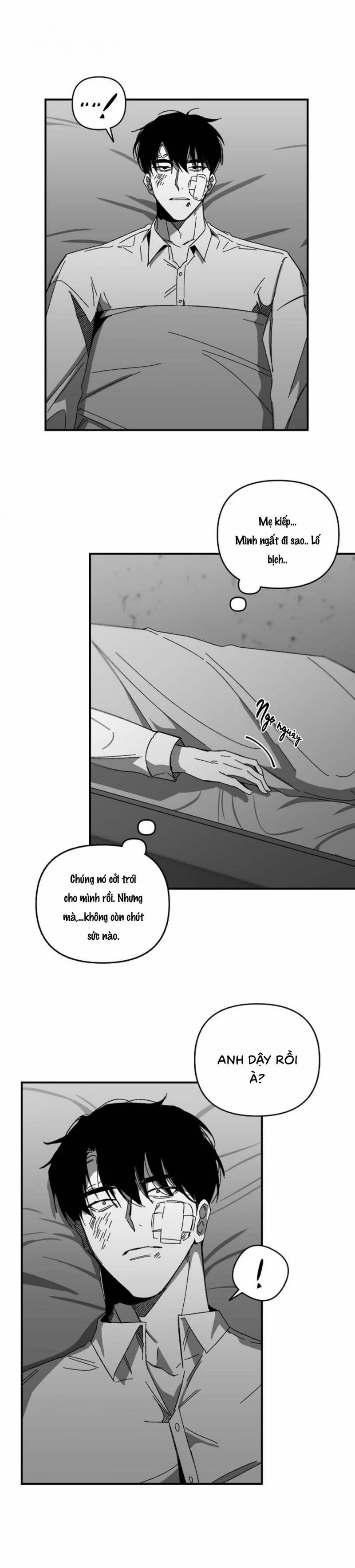 Không Lý Do 11 trang 21