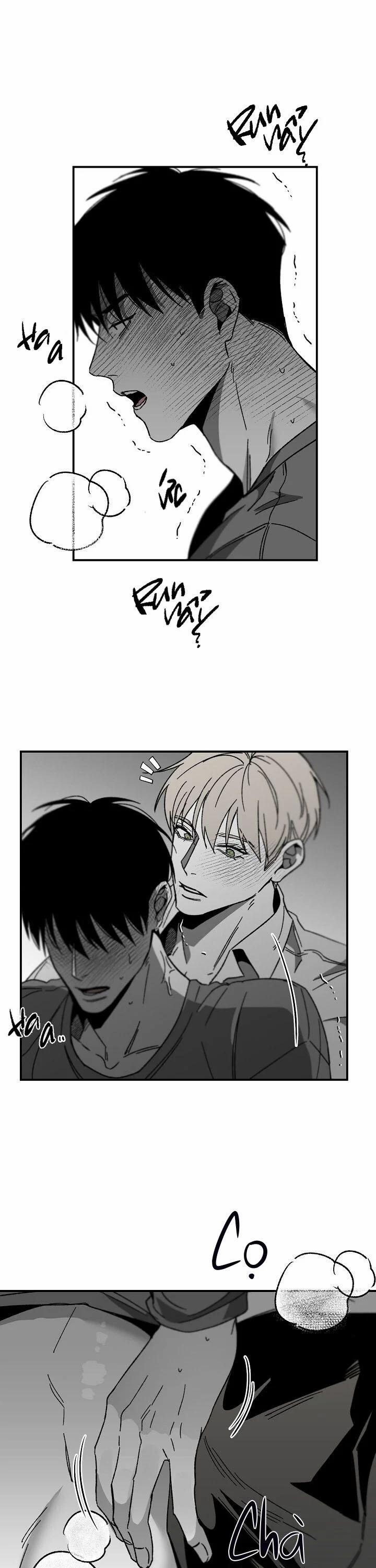 Không Lý Do 28.5 trang 0