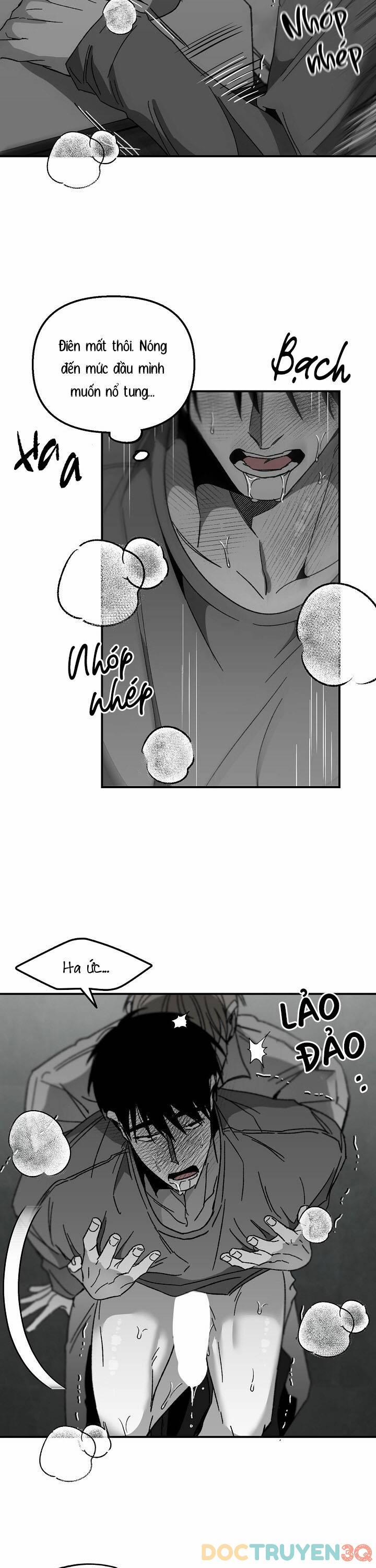 Không Lý Do 29 trang 10