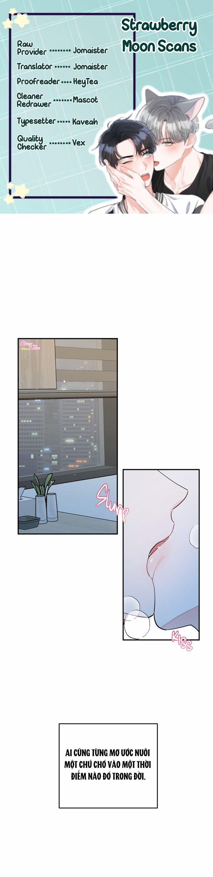 Không Phải Con Mèo Đó, Mà Là Con Mèo Này Này! 1 trang 0