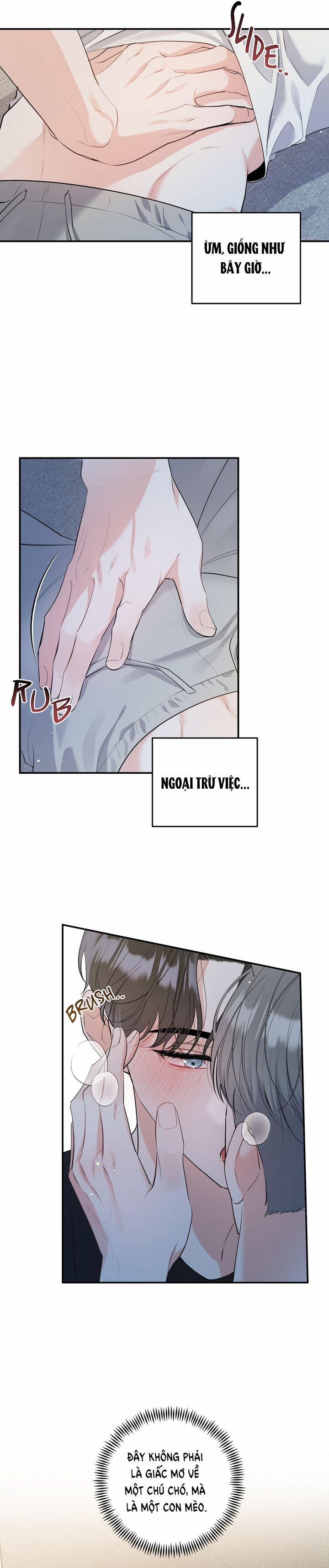 Không Phải Con Mèo Đó, Mà Là Con Mèo Này Này! 1 trang 1