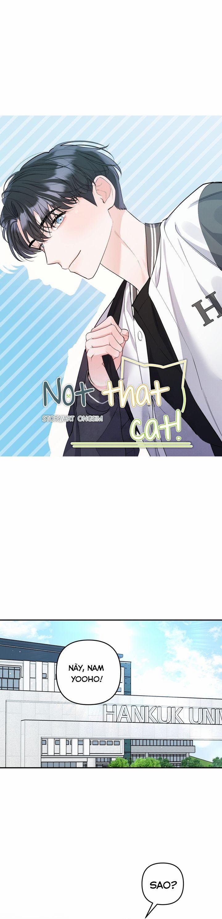 Không Phải Con Mèo Đó, Mà Là Con Mèo Này Này! 1 trang 10