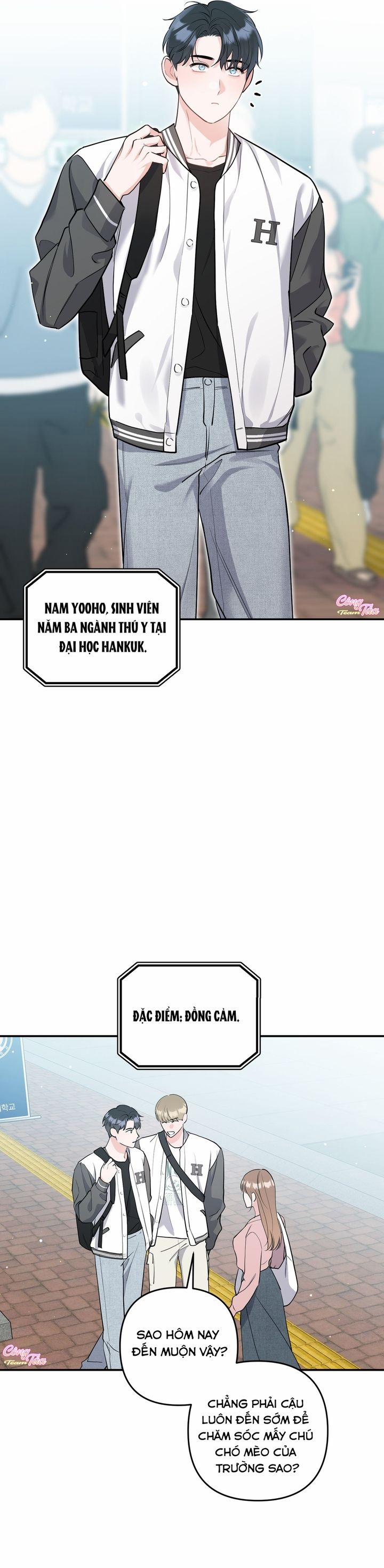 Không Phải Con Mèo Đó, Mà Là Con Mèo Này Này! 1 trang 11