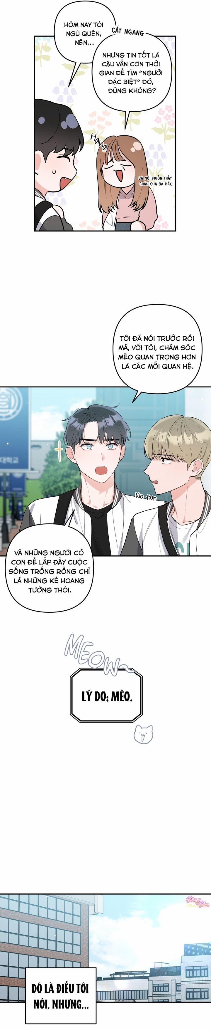 Không Phải Con Mèo Đó, Mà Là Con Mèo Này Này! 1 trang 12