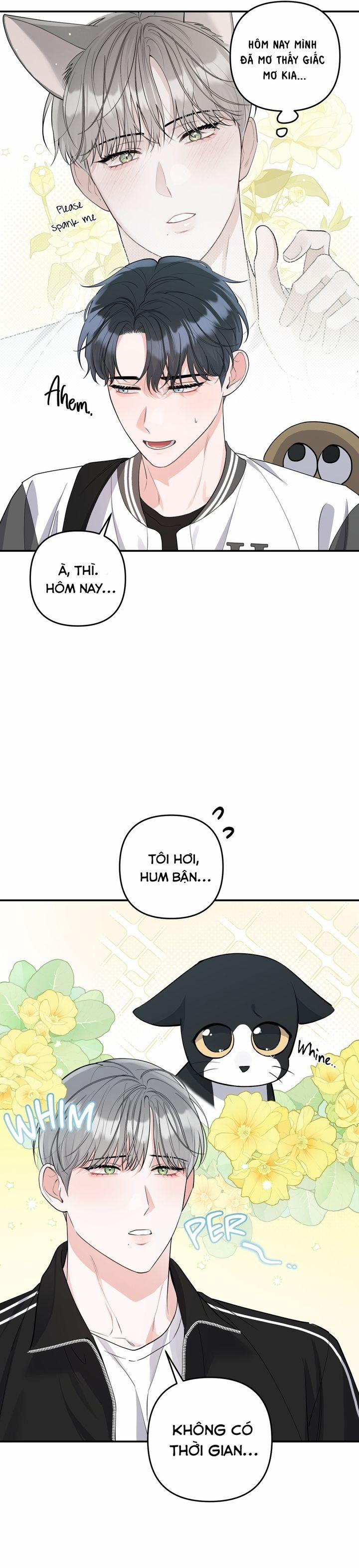 Không Phải Con Mèo Đó, Mà Là Con Mèo Này Này! 1 trang 15