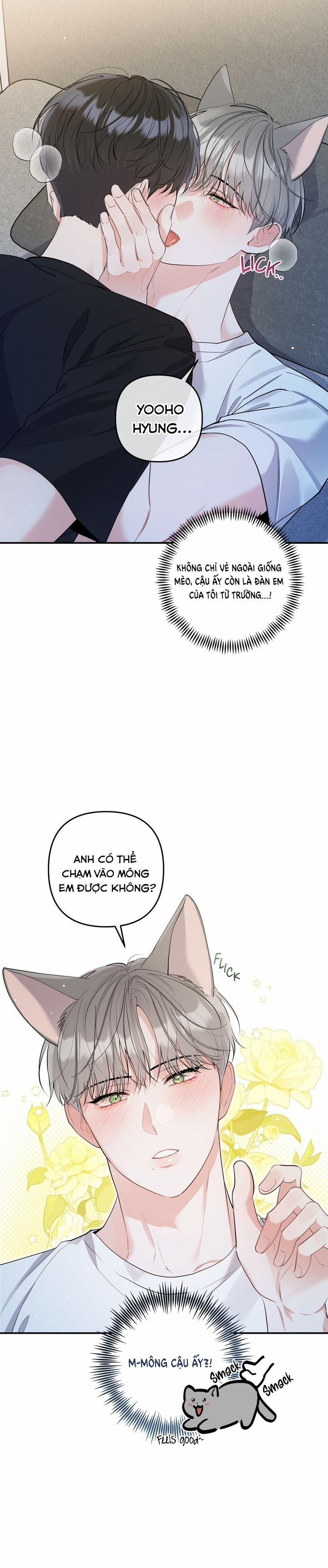 Không Phải Con Mèo Đó, Mà Là Con Mèo Này Này! 1 trang 2