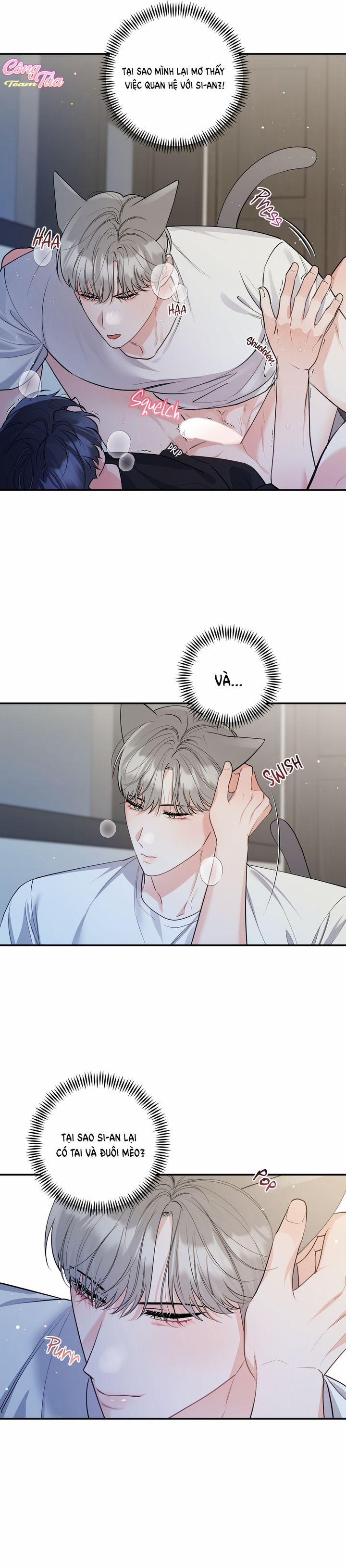 Không Phải Con Mèo Đó, Mà Là Con Mèo Này Này! 1 trang 7