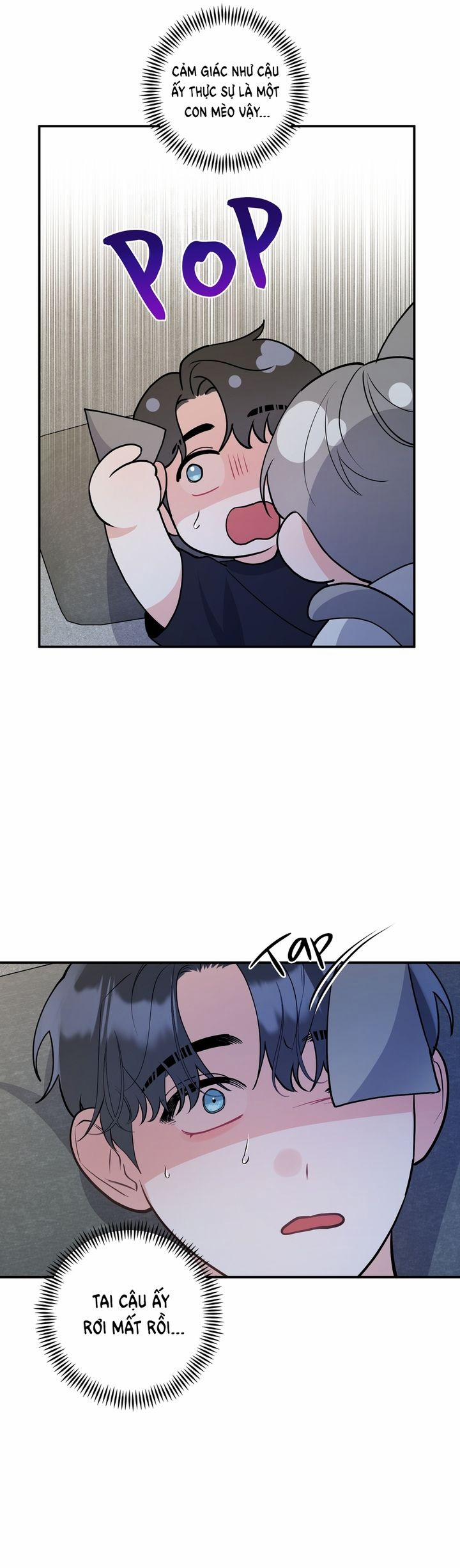 Không Phải Con Mèo Đó, Mà Là Con Mèo Này Này! 1 trang 8