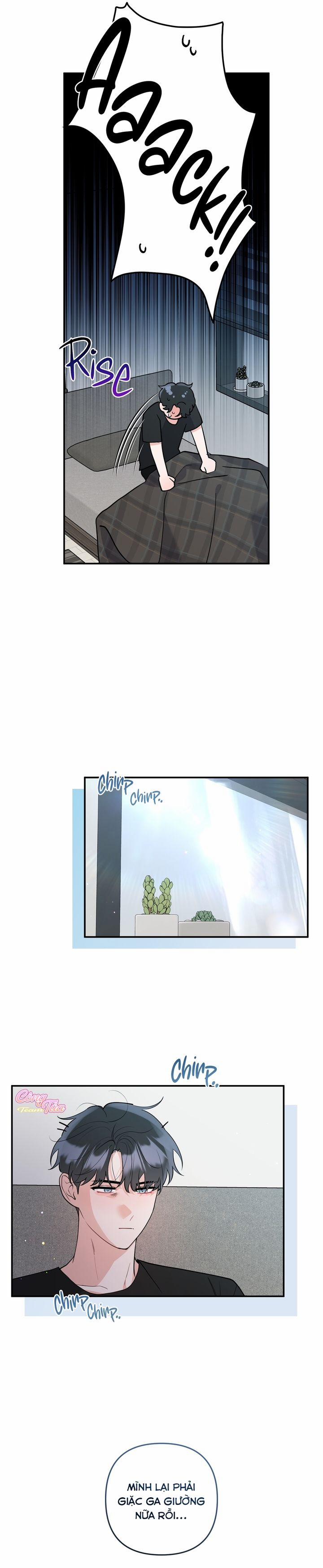 Không Phải Con Mèo Đó, Mà Là Con Mèo Này Này! 1 trang 9