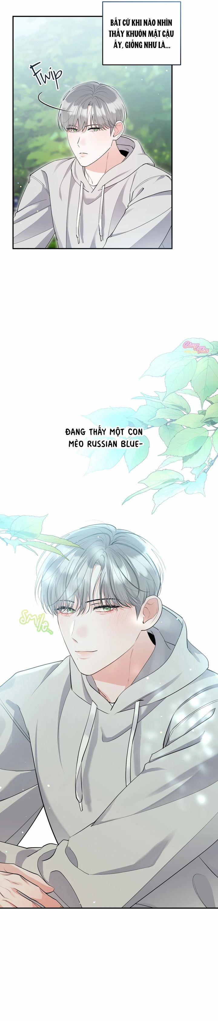 Không Phải Con Mèo Đó, Mà Là Con Mèo Này Này! 2 trang 10