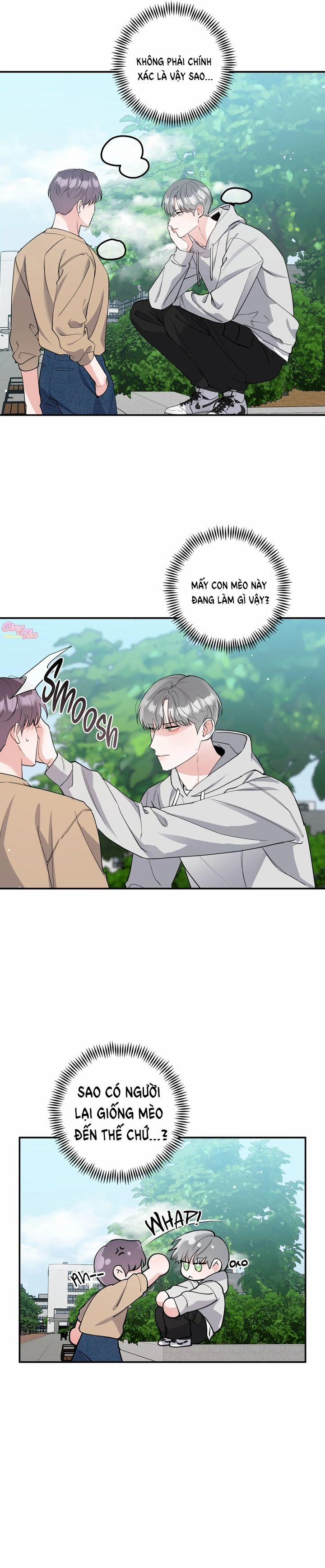 Không Phải Con Mèo Đó, Mà Là Con Mèo Này Này! 2 trang 12