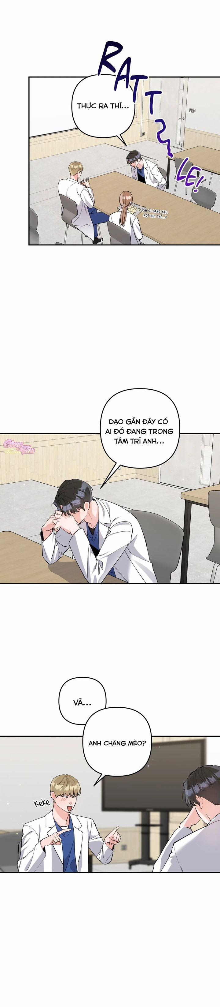 Không Phải Con Mèo Đó, Mà Là Con Mèo Này Này! 2 trang 16