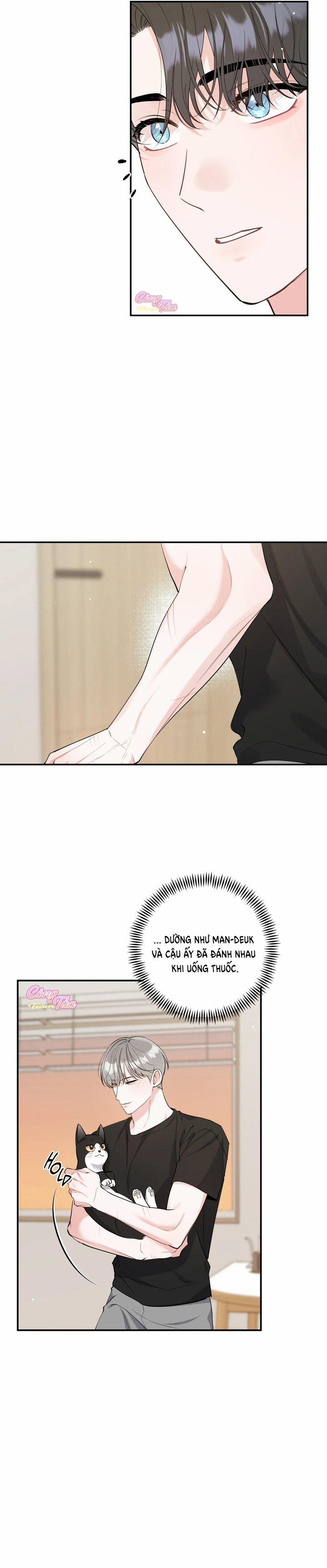 Không Phải Con Mèo Đó, Mà Là Con Mèo Này Này! 2 trang 2