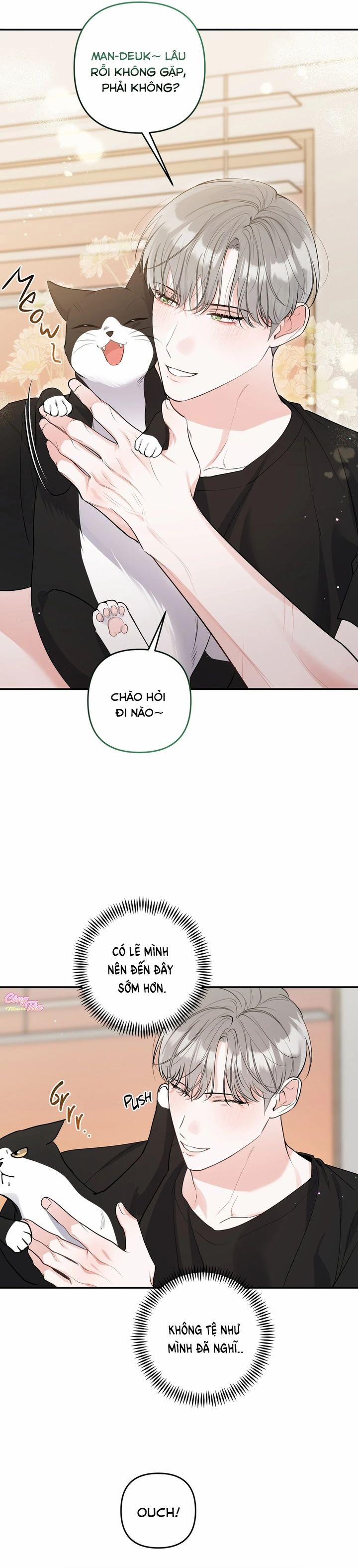 Không Phải Con Mèo Đó, Mà Là Con Mèo Này Này! 2 trang 3