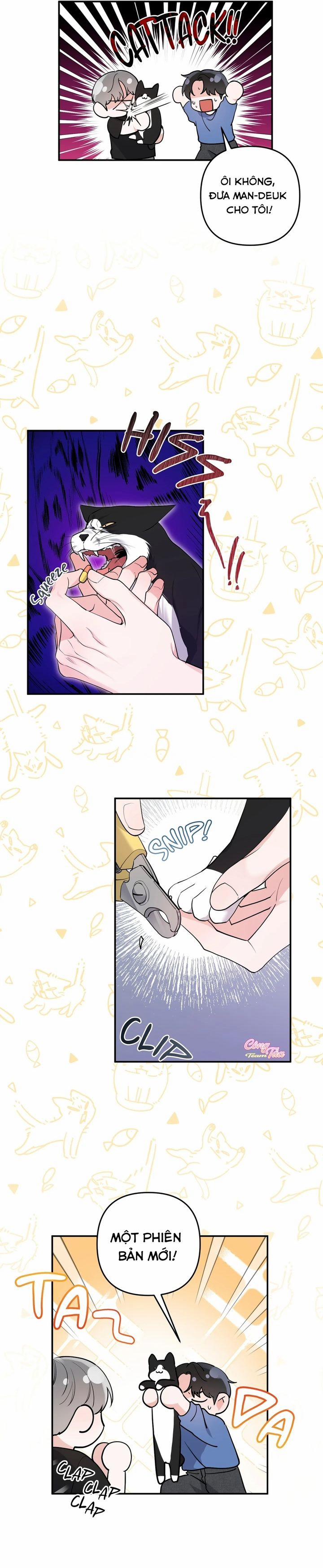 Không Phải Con Mèo Đó, Mà Là Con Mèo Này Này! 2 trang 4