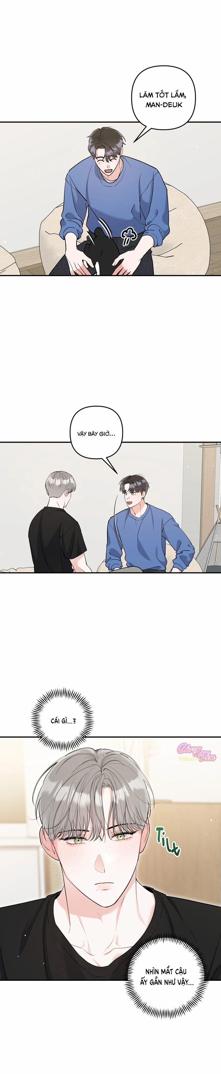 Không Phải Con Mèo Đó, Mà Là Con Mèo Này Này! 2 trang 5