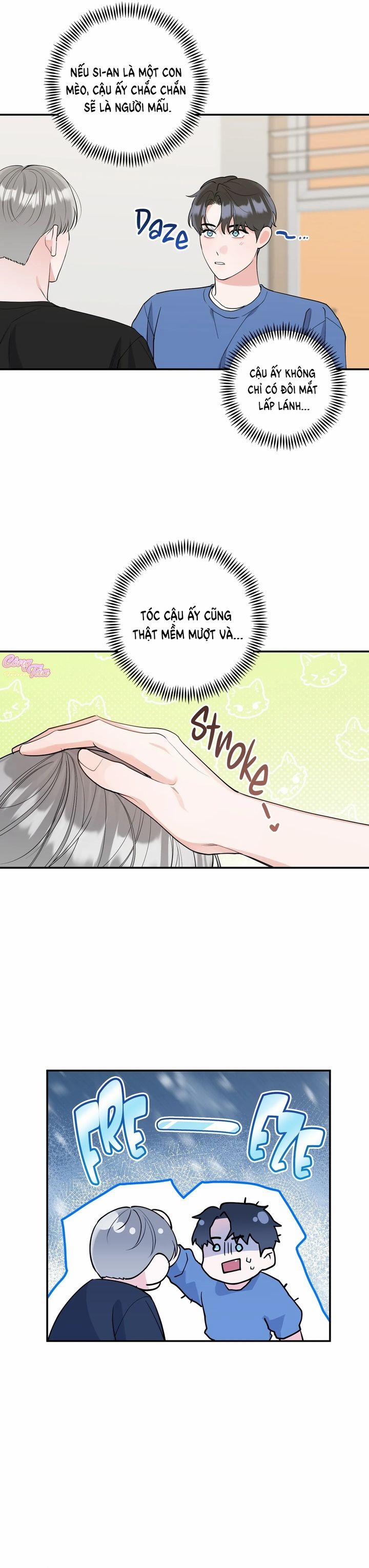 Không Phải Con Mèo Đó, Mà Là Con Mèo Này Này! 2 trang 6