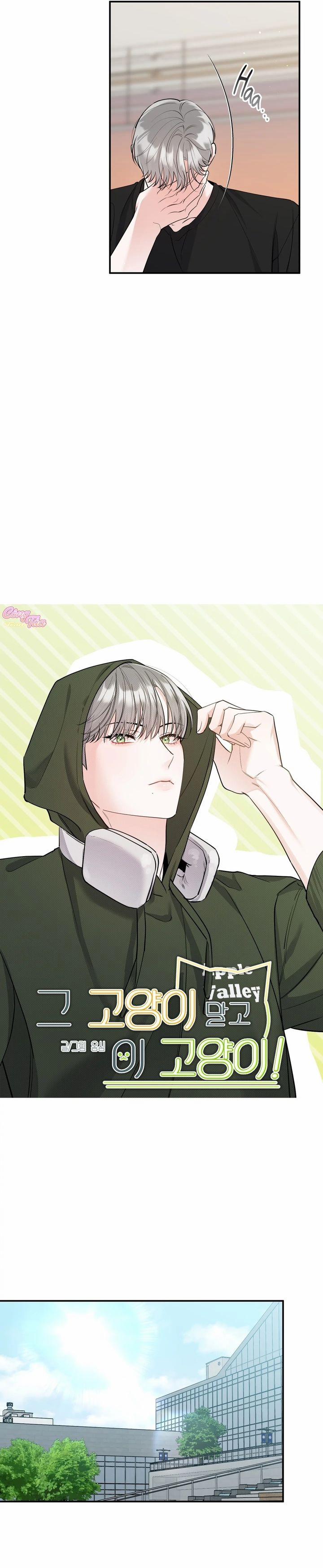 Không Phải Con Mèo Đó, Mà Là Con Mèo Này Này! 2 trang 8