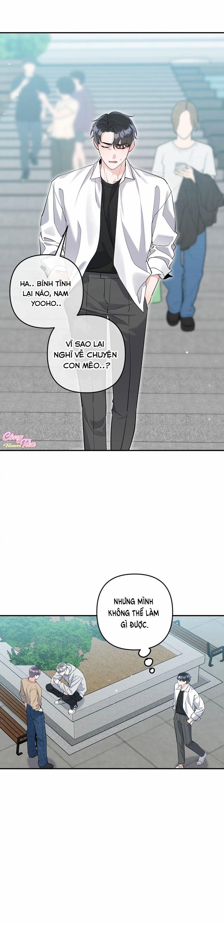 Không Phải Con Mèo Đó, Mà Là Con Mèo Này Này! 2 trang 9